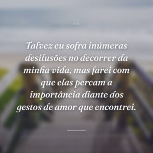 Talvez eu sofra inúmeras desilusões no decorrer da minha vida, mas farei com que elas percam a importância diante dos gestos de amor que encontrei.