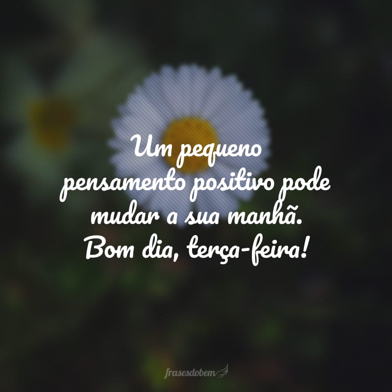 Um pequeno pensamento positivo pode mudar a sua manhã. Bom dia, terça-feira!