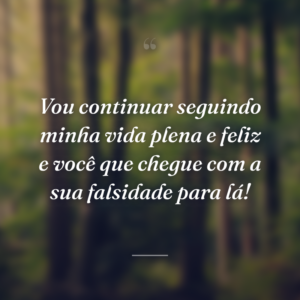 Vou continuar seguindo minha vida plena e feliz e você que chegue com a sua falsidade para lá!