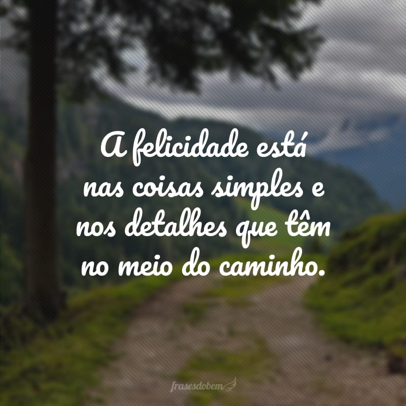 A felicidade está nas coisas simples e nos detalhes que têm no meio do caminho.