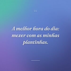 A melhor hora do dia: mexer com as minhas plantinhas.
