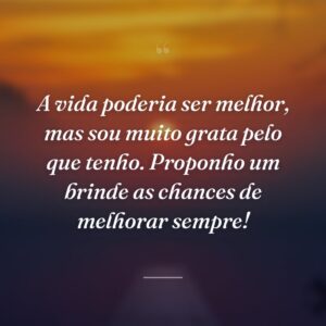 A vida poderia ser melhor, mas sou muito grata pelo que tenho. Proponho um brinde as chances de melhorar sempre!