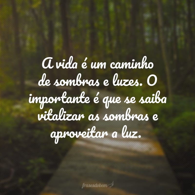 A vida é um caminho de sombras e luzes. O importante é que se saiba vitalizar as sombras e aproveitar a luz.