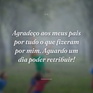 Agradeço aos meus pais por tudo o que fizeram por mim. Aguardo um dia poder retribuir!