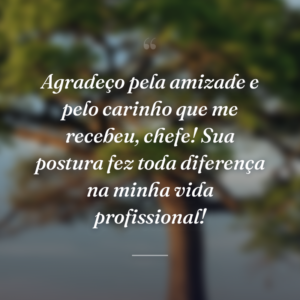 Agradeço pela amizade e pelo carinho que me recebeu, chefe! Sua postura fez toda diferença na minha vida profissional!