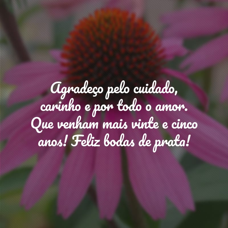 Agradeço pelo cuidado, carinho e por todo o amor. Que venham mais vinte e cinco anos! Feliz bodas de prata!