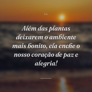 Além das plantas deixarem o ambiente mais bonito, ela enche o nosso coração de paz e alegria!