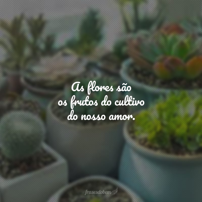 As flores são os frutos do cultivo do nosso amor.