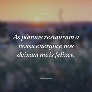 As plantas restauram a nossa energia e nos deixam mais felizes.