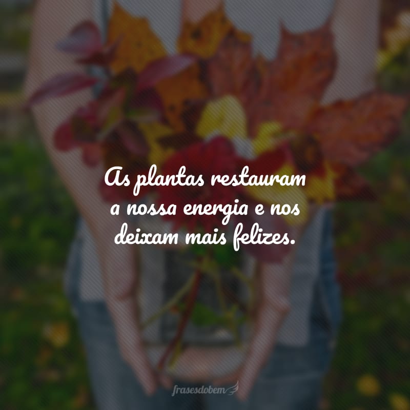 As plantas restauram a nossa energia e nos deixam mais felizes.