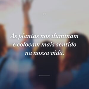 As plantas nos iluminam e colocam mais sentido na nossa vida.