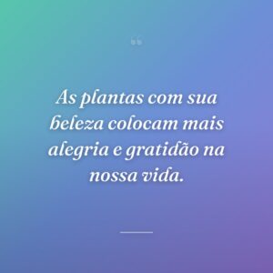 As plantas com sua beleza colocam mais alegria e gratidão na nossa vida.