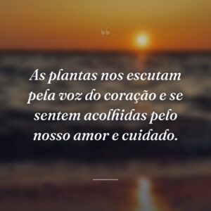 As plantas nos escutam pela voz do coração e se sentem acolhidas pelo nosso amor e cuidado.