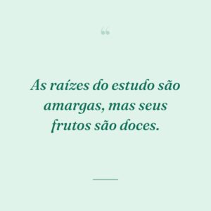 As raízes do estudo são amargas, mas seus frutos são doces.