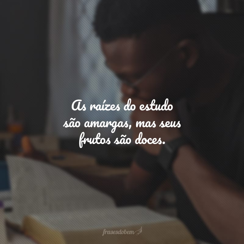 As raízes do estudo são amargas, mas seus frutos são doces.