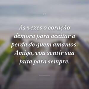 Às vezes o coração demora para aceitar a perda de quem amamos. Amigo, vou sentir sua falta para sempre.