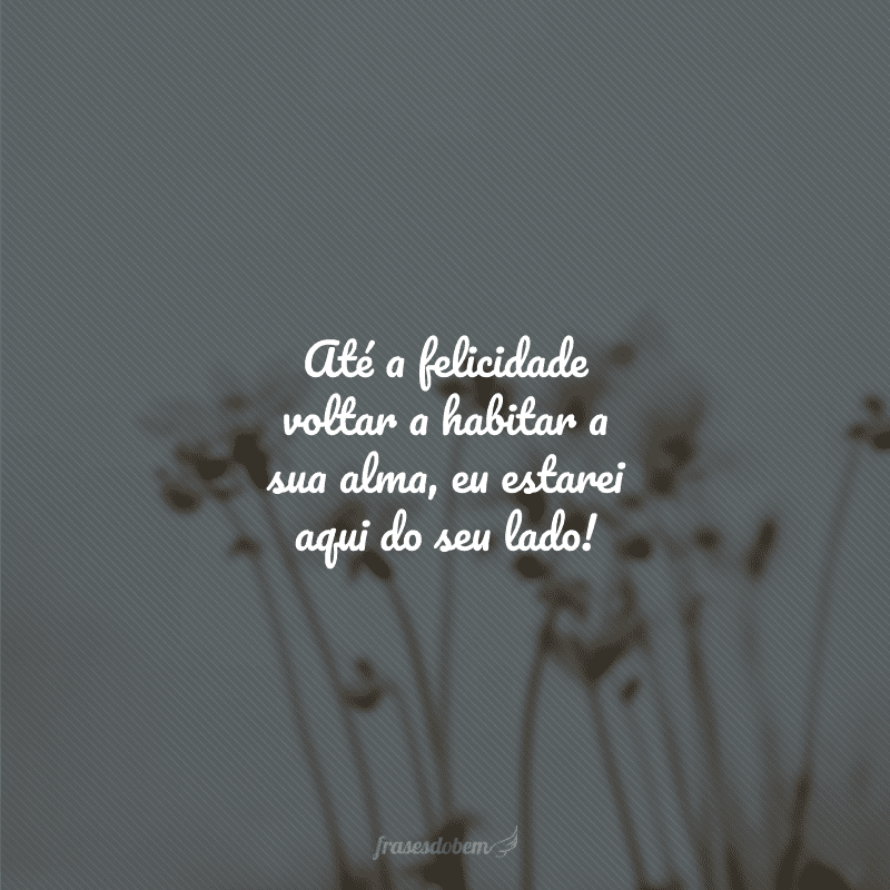 Até a felicidade voltar a habitar a sua alma, eu estarei aqui do seu lado!