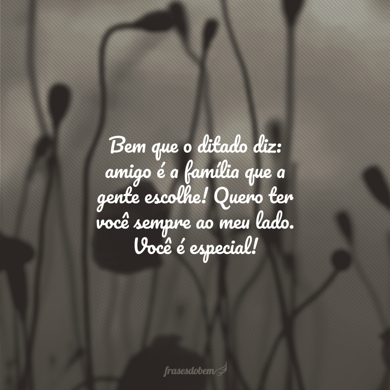 Bem que o ditado diz: amigo é a família que a gente escolhe! Quero ter você sempre ao meu lado. Você é especial!