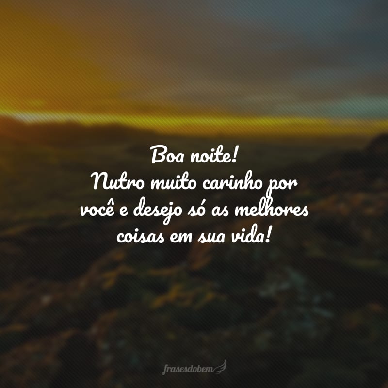 Boa noite! Nutro muito carinho por você e desejo só as melhores coisas em sua vida!
