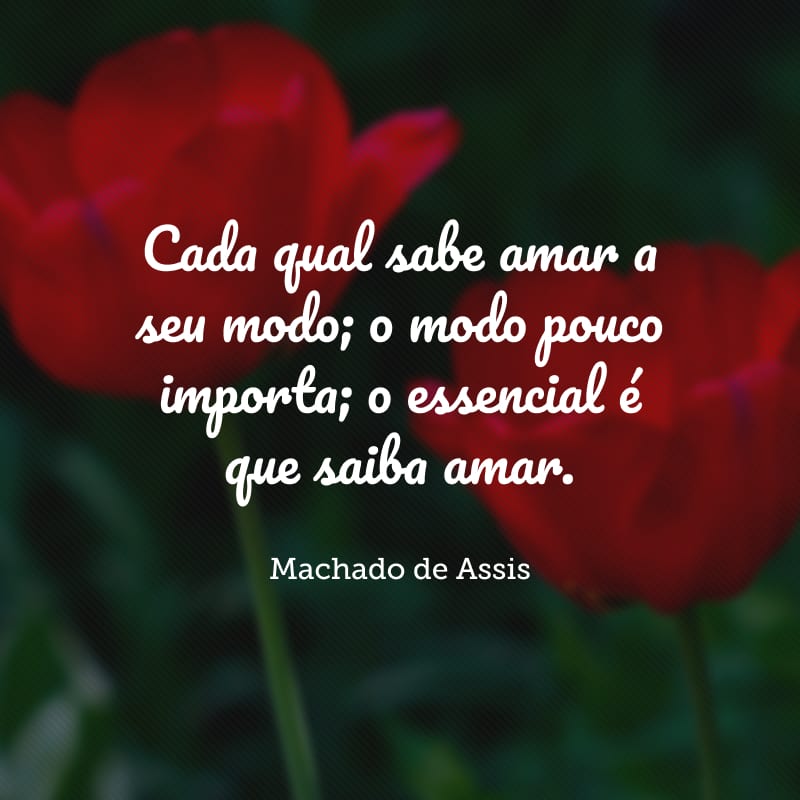 Cada qual sabe amar a seu modo; o modo pouco importa; o essencial é que saiba amar. 