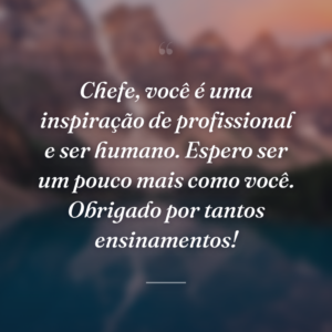 Chefe, você é uma inspiração de profissional e ser humano. Espero ser um pouco mais como você. Obrigado por tantos ensinamentos!