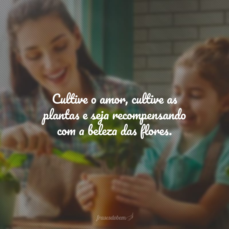 Cultive o amor, cultive as plantas e seja recompensando com a beleza das flores.