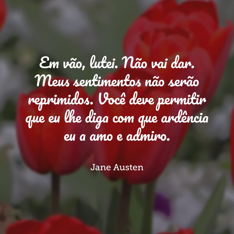 Em vão, lutei. Não vai dar. Meus sentimentos não serão reprimidos. Você deve permitir que eu lhe diga com que ardência eu a amo e admiro.