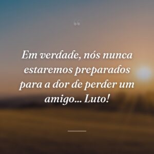 Em verdade, nós nunca estaremos preparados para a dor de perder um amigo... Luto!