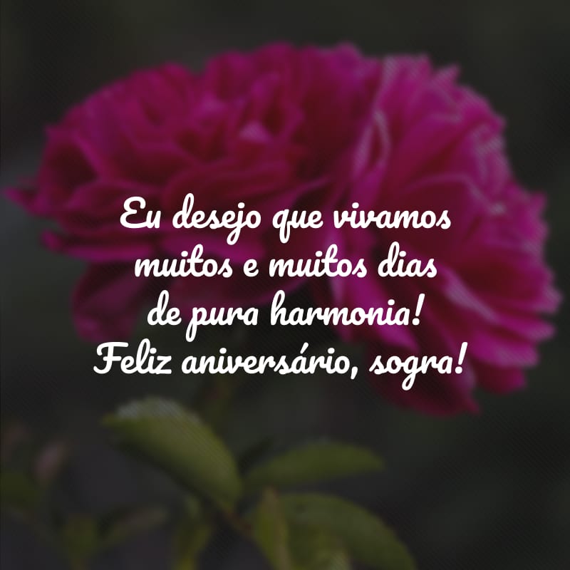Eu desejo que vivamos muitos e muitos dias de pura harmonia! Feliz aniversário, sogra!