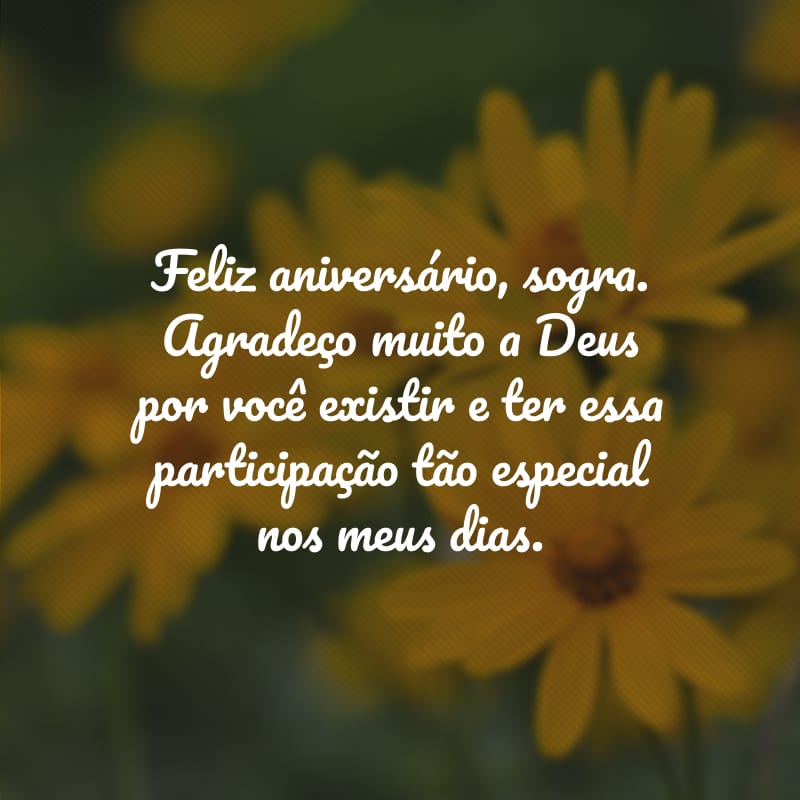 Feliz aniversário, sogra. Agradeço muito a Deus por você existir e ter essa participação tão especial nos meus dias.