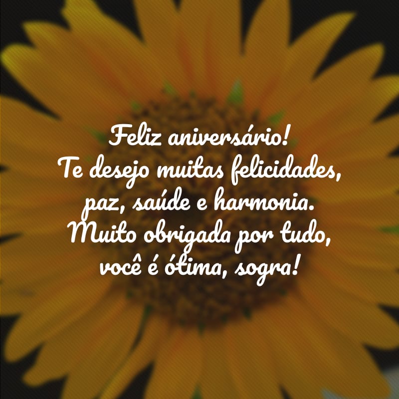 Feliz aniversário! Te desejo muitas felicidades, paz, saúde e harmonia. Muito obrigada por tudo, você é ótima, sogra!