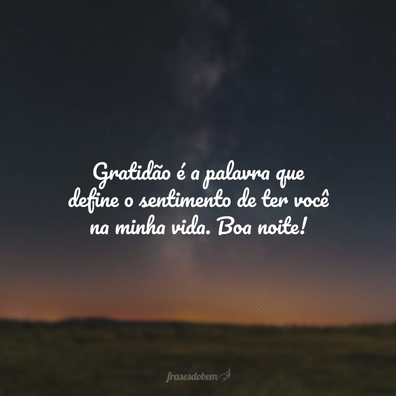Gratidão é a palavra que define o sentimento de ter você na minha vida. Boa noite!