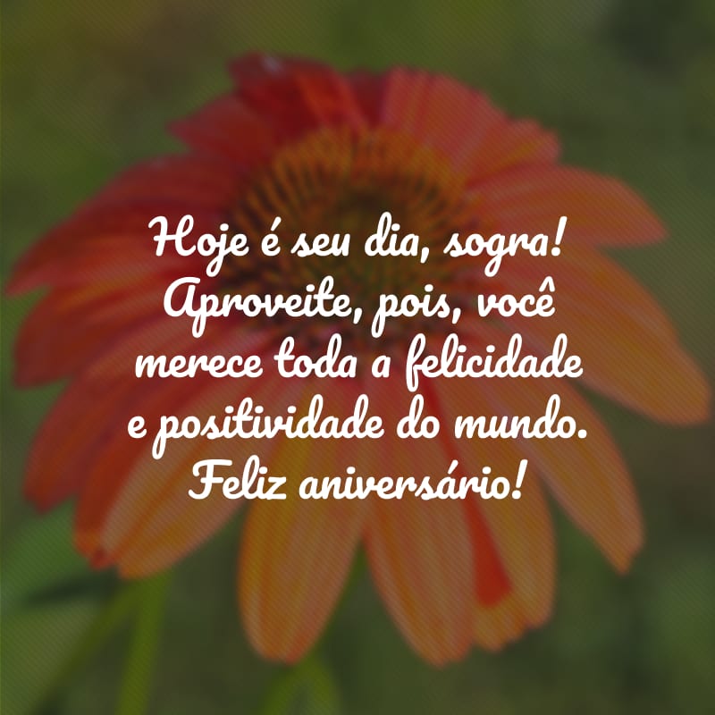 Hoje é seu dia, sogra! Aproveite, pois, você merece toda a felicidade e positividade do mundo. Feliz aniversário!