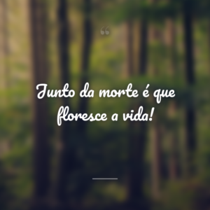 Junto da morte é que floresce a vida!