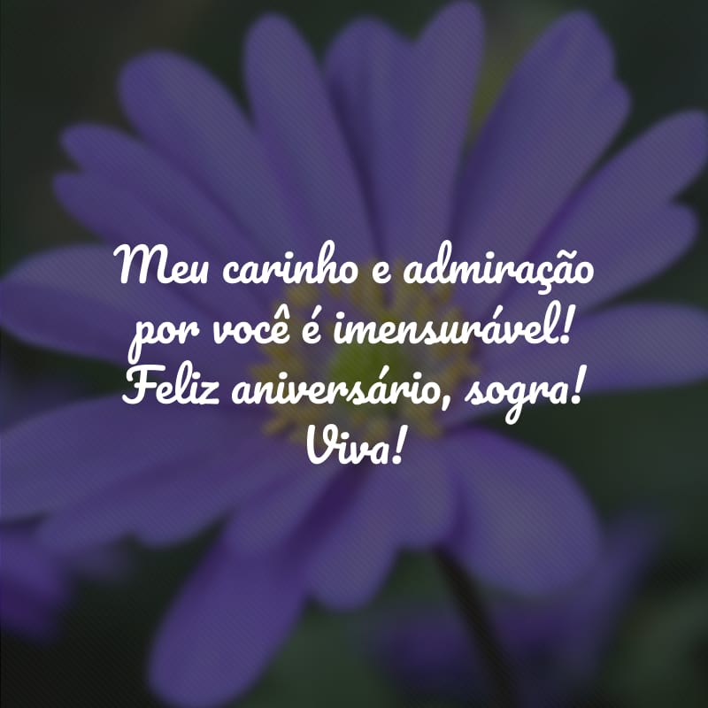 Meu carinho e admiração por você é imensurável! Feliz aniversário, sogra! Viva!