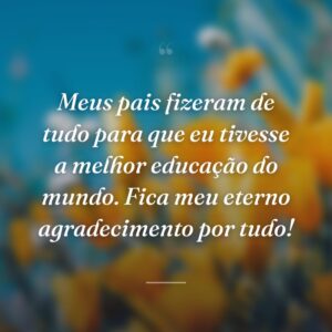 Meus pais fizeram de tudo para que eu tivesse a melhor educação do mundo. Fica meu eterno agradecimento por tudo!