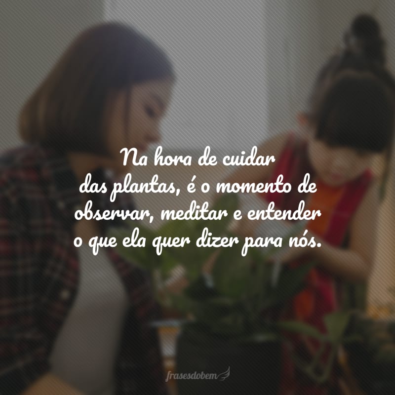 Na hora de cuidar das plantas, é o momento de observar, meditar e entender o que ela quer dizer para nós.