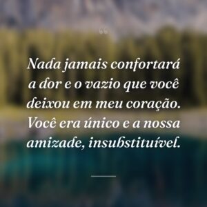 Nada jamais confortará a dor e o vazio que você deixou em meu coração. Você era único e a nossa amizade, insubstituível.