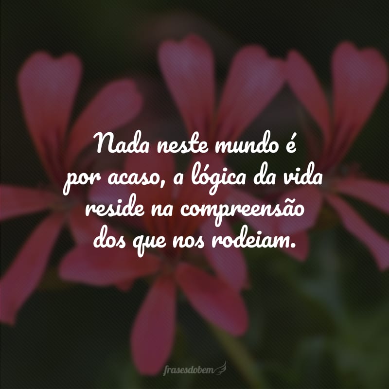 Nada neste mundo é por acaso, a lógica da vida reside na compreensão dos que nos rodeiam.