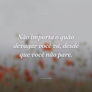 Não importa o quão devagar você vá, desde que você não pare.