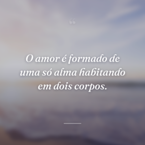 O amor é formado de uma só alma habitando em dois corpos.