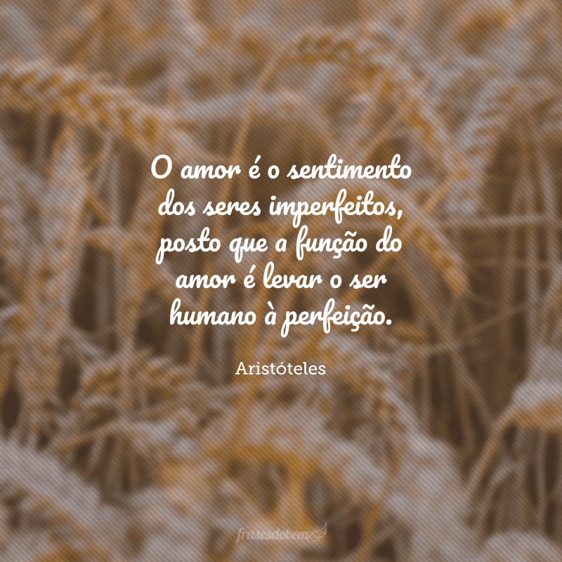 O amor é o sentimento dos seres imperfeitos, posto que a função do amor é levar o ser humano à perfeição.