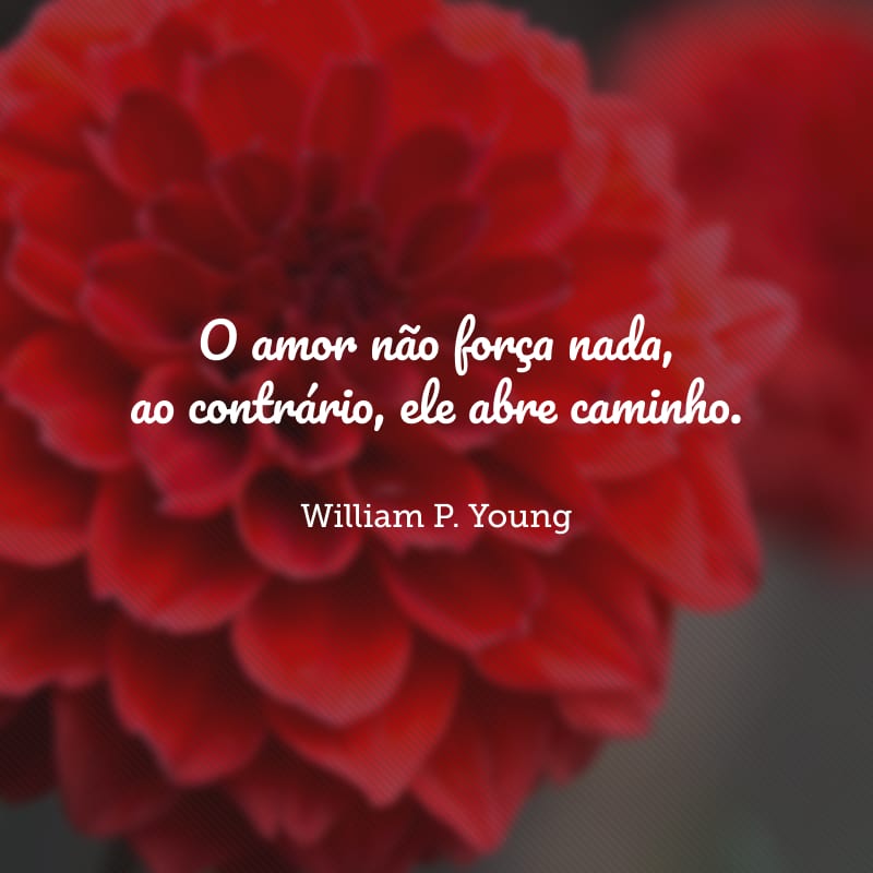 O amor não força nada, ao contrário, ele abre caminho.