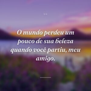 O mundo perdeu um pouco de sua beleza quando você partiu, meu amigo.