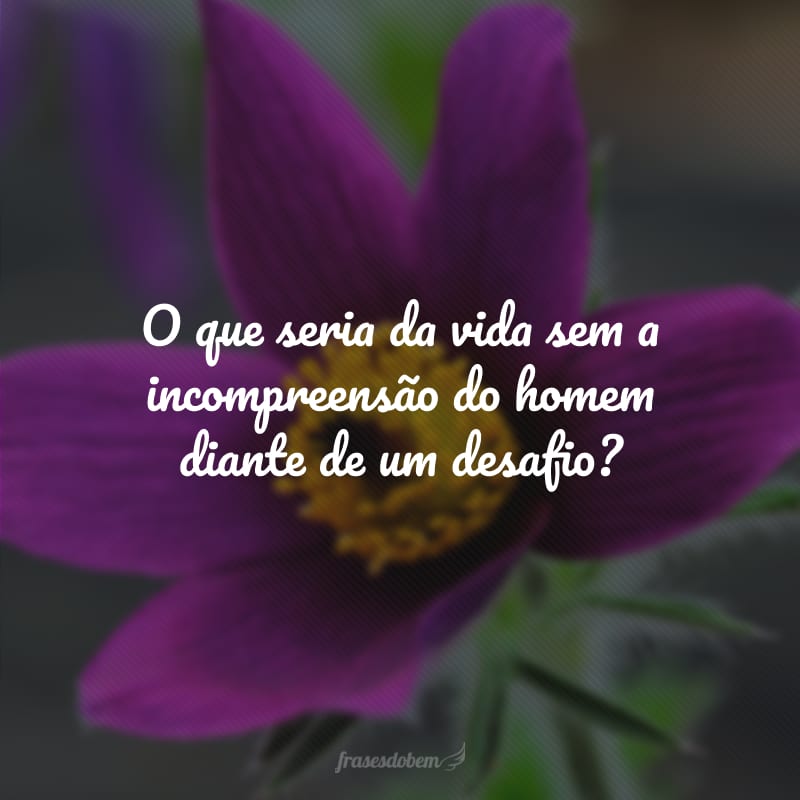 O que seria da vida sem a incompreensão do homem diante de um desafio?