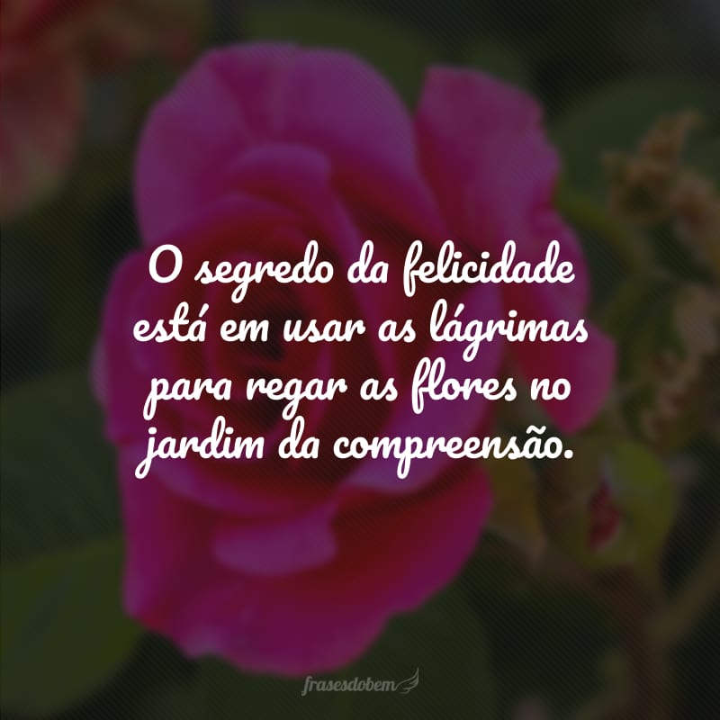 O segredo da felicidade está em usar as lágrimas para regar as flores no jardim da compreensão.