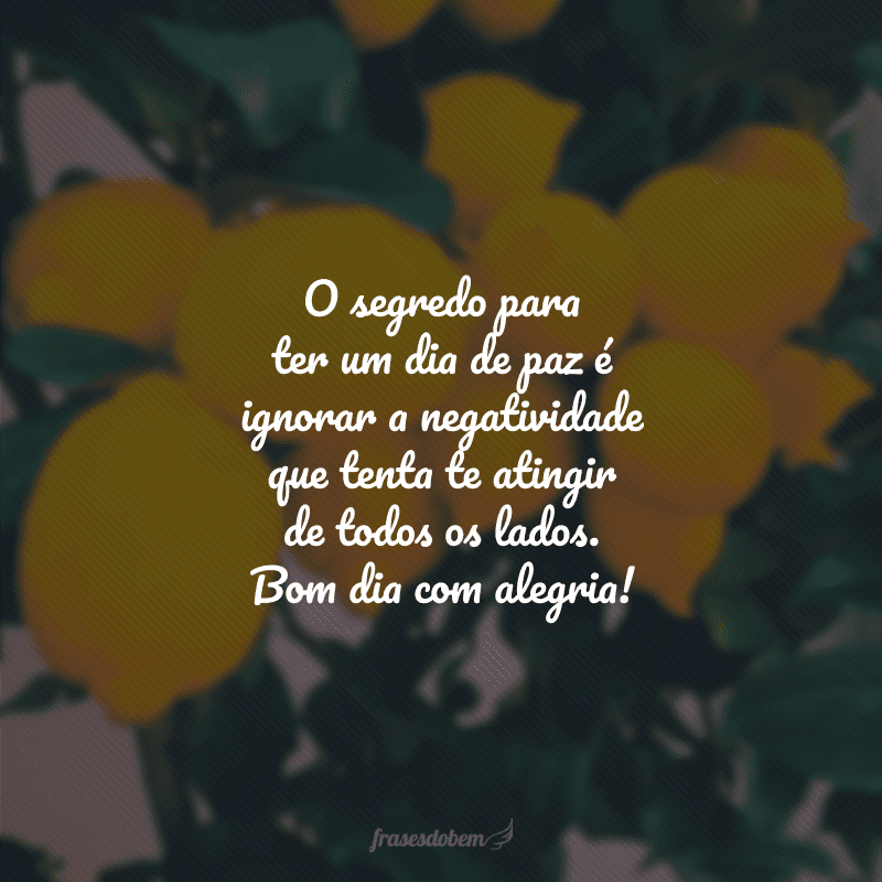 O segredo para ter um dia de paz é ignorar a negatividade que tenta te atingir de todos os lados. Bom dia com alegria!