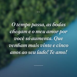 O tempo passa, as bodas chegam e o meu amor por você só aumenta. Que venham mais vinte e cinco anos ao seu lado! Te amo!