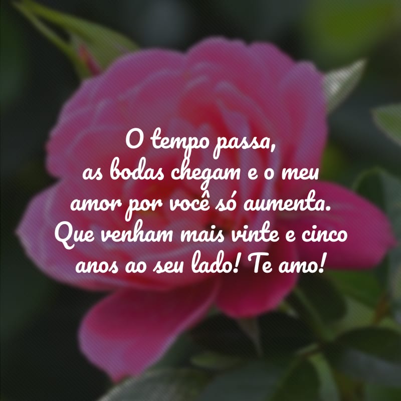 O tempo passa, as bodas chegam e o meu amor por você só aumenta. Que venham mais vinte e cinco anos ao seu lado! Te amo!