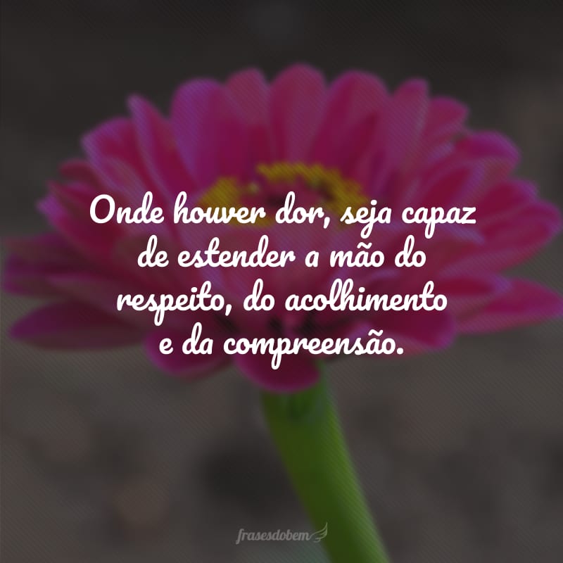 Onde houver dor, seja capaz de estender a mão do respeito, do acolhimento e da compreensão.